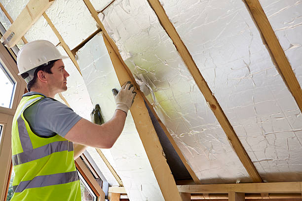Best DIY Insulation Kits and Guidance in Frostburg, MD