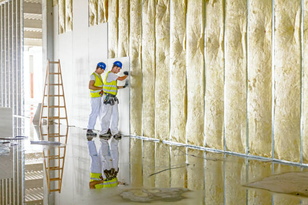 Best Cellulose Insulation in Frostburg, MD